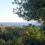 Chambre Bed And Breakfast Dans La Villa Cypra